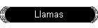 Llamas